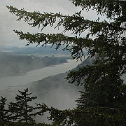 Picture 010